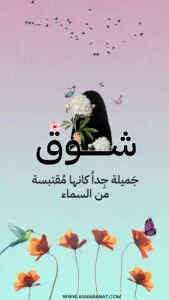 Read more about the article خلفيات اسم شوق