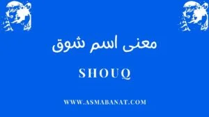 Read more about the article معني اسم شوق