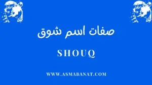 Read more about the article صفات اسم شوق