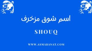 Read more about the article اسم شوق مزخرف بالعربي وبالإنجليزي