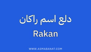 Read more about the article دلع اسم راكان