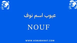 Read more about the article عيوب اسم نوف: تحليل شامل مع تقديم بعض النصائح