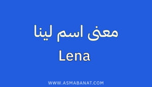 Read more about the article معنى اسم لينا
