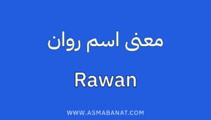 Read more about the article معنى اسم روان
