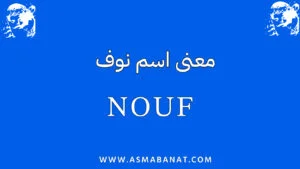 Read more about the article معنى اسم نوف