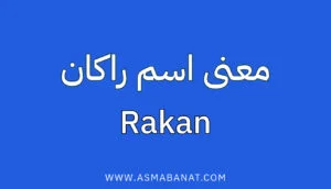 Read more about the article معنى اسم راكان