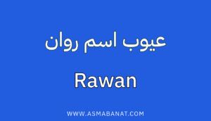 Read more about the article عيوب اسم روان