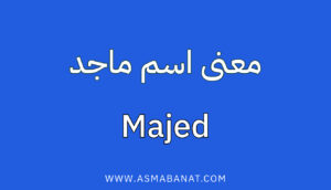 Read more about the article معنى اسم ماجد