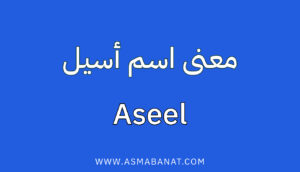 Read more about the article معنى اسم أسيل