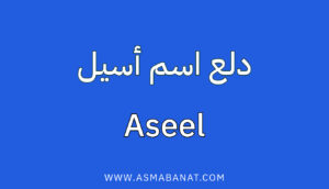 Read more about the article دلع اسم أسيل
