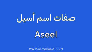 Read more about the article صفات اسم أسيل