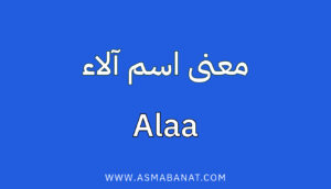 Read more about the article معنى اسم آلاء: دليل شامل مع التفاصيل