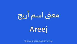 Read more about the article معنى اسم أريج
