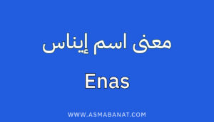 Read more about the article معنى اسم إيناس